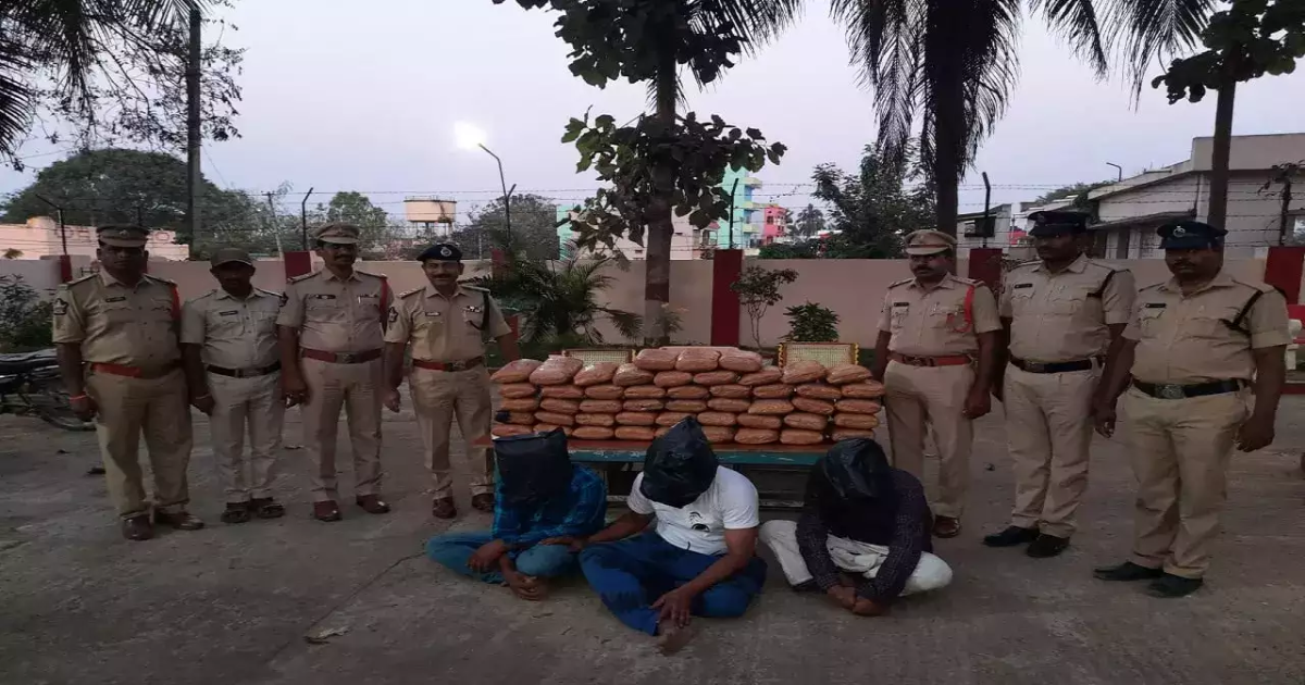 Palamaneru police arrests three persons for selling ganja in Andhra's Chittoor